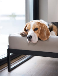 Bia Air Frame Voor Bia Bed Zwart